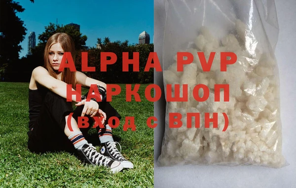спиды Бердск