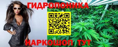 эйфоретик Новозыбков