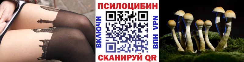 кракен онион  Ковров  Псилоцибиновые грибы мухоморы 